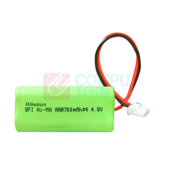 和齐顺 Hikesun 可充电镍氢电池 HQS-AR23 4.8V 700mAh 