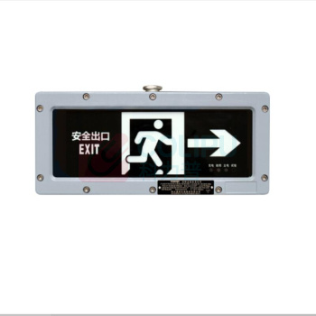 通明 TORMIN 消防应急标志灯具 向右 TM-BLZD-1LORE I 3W-BC4200 3W IP66 ExdeIICT6Gb/ExtdA21IP66T80℃ AC220V 5000K (灰色)