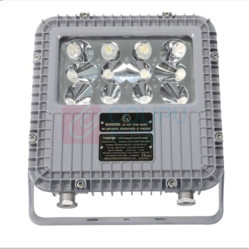 通明 TORMIN 防爆灯 BC9101A-L60-15 厂房仓库车间加油站照明灯具 60W+应急15W IP66 ExdⅡBT6Gb/ExtDA21IP66T80℃ AC90~264V 5000K 白光 (灰色)