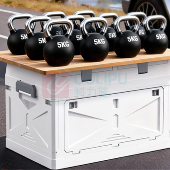 佳帮手 后备箱收纳箱 车载折叠塑料储物箱 大号灰透 JBS-ZDX-5307GG-GCR 53.5*34.5*34.5cm