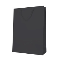 罗德力 商务牛皮纸手提卡纸袋 竖排30*40+10cm (黑卡)