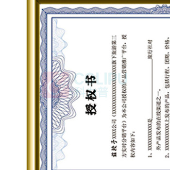 金隆兴 相框 BB-A4 21*29.7cm (金色) 5副/组 60个/箱