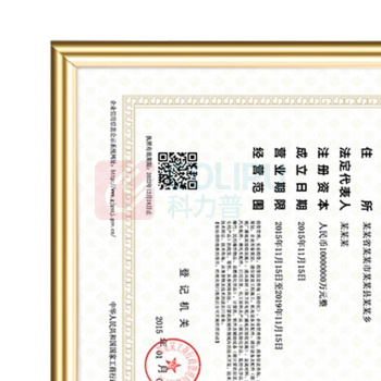 金隆兴 相框 BB-A3 42*29.7cm (金边) 5个/组 40个/箱 (5个起订)