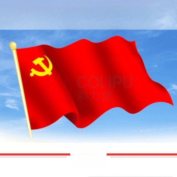 信发 TRNFA 加厚党旗纳米防水防晒色彩鲜艳单面旗帜 5号 96*64cm
