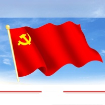信发 TRNFA 党旗 加厚款 4号 (红色) 144*96cm
