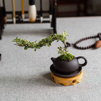 OTHER 茶桌绿植摆件 (含绿植) 长20cm、高15cm