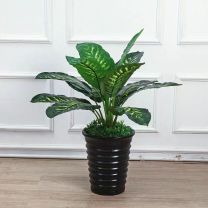 千禾 仿真绿植万年青 高度60-80cm
