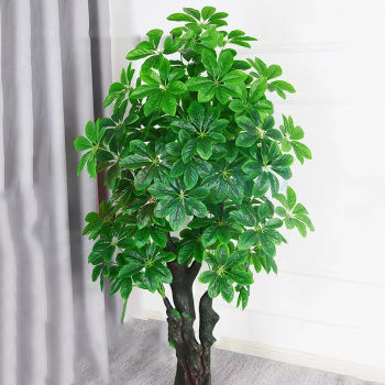 千禾 仿真绿植金钱树 高度170cm