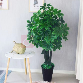 千禾 仿真绿植金钱树 高度170cm