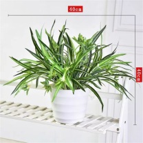 千禾 仿真绿植吊兰 高度约40cm