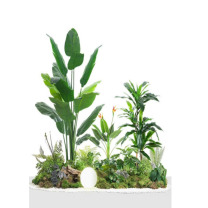 晟日晨辉 仿真植物造景阳台景观布置室内装饰仿生绿植造景组合 YZY-ZLX-WF20240418
