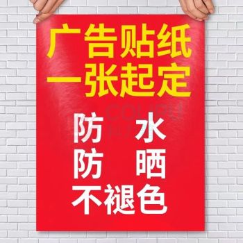 千禾 车贴 QH240954 68*80cm