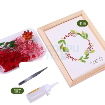 叁仟悦 永生干花相框diy材料包 (款式随机)