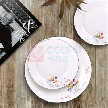 毕加索 PICASSO 《友谊之花》中餐具25头 RY1810-C25