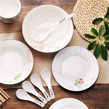 毕加索 PICASSO 《友谊之花》中餐具28头 RY1810-C28