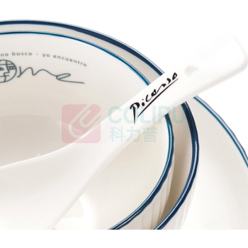 毕加索 PICASSO 中餐具 P219C09 4碗4勺1盘 (白色)