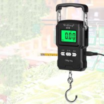 威衡 充电手提秤快递秤行李称威衡电子秤精准家用秤弹簧称买菜秤钓鱼称 威衡手提秤充电配线 75kg 10g .A27
