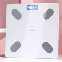 凯速 KANSOON KANSOON智能蓝牙体脂秤 TZC002 (皎月白)