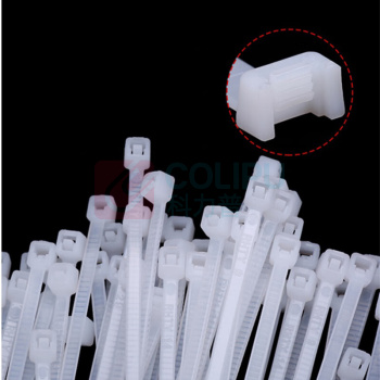 ARITER 尼龙扎带 10MM*800MM 100一包 10MM*800MM 100一包 (ARITER)