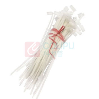 龙仕康 螺旋纹 尼龙扎带 LSK252 约25CM 2000根/箱 (白色)