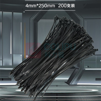 彩弘 自锁式尼龙扎带 Z4 4mm*250mm*200支