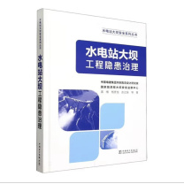 中国电力出版社 水电站大坝工程隐患治理 9787519889685