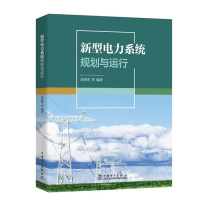 中国电力出版社 新型电力系统规划与运行 9787519888718