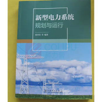 中国电力出版社 新型电力系统规划与运行 9787519888718
