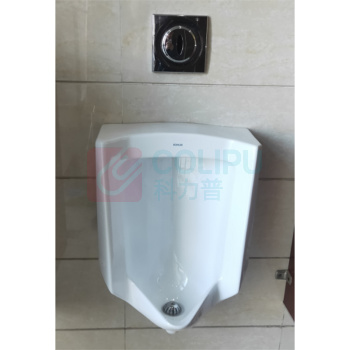 科勒 挂墙式小便斗 T-ER-0 480mm*350mm*715mm (本色)