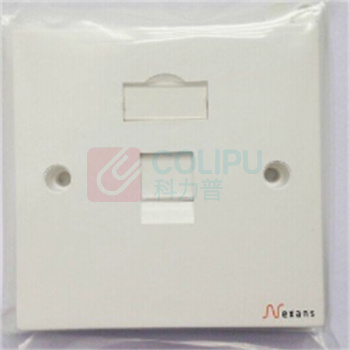 耐克森 信息插座面板 LANmark 86*86 Wallplate 1Snap-InWhite N423.862(明装单口 六类屏蔽,含安装钉)