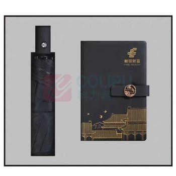 定制 笔记本雨伞套装 BS1