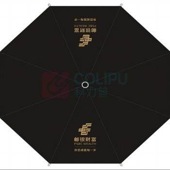 定制 笔记本雨伞套装 BS1