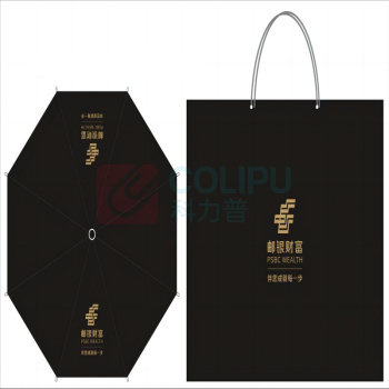 定制 笔记本雨伞套装 BS1