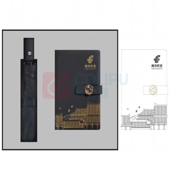 定制 笔记本雨伞套装 BS1