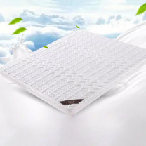 嘉禾 床垫天然椰棕床垫 1200mm*2000mm B10cm厚(防螨针织+0胶水天然椰棕)