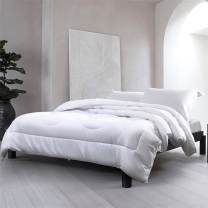水星家纺 依兰负离子抗菌被床上用品 DH依兰负离子抗菌被 200cm×230cm (白色) 四季通用