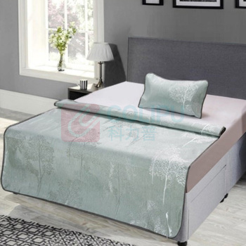 芳恩 FAUNEN 艾草驱蚊冰丝席两件套 FN-X5007-2A 120x200cm 凉席+1枕套