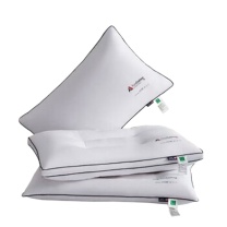奥特佳 抗菌枕 (膜包) ATJ-SS-007 48cm*74cm*8cm(±2cm)