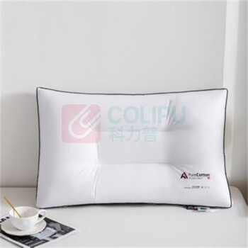 奥特佳 抗菌枕 (膜包) ATJ-SS-007 48cm*74cm*8cm(±2cm)