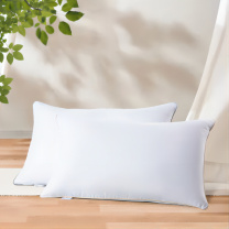 水星家纺 化纤枕 DH春眠抗菌对枕 74cm*48cm  (QSQJF003)