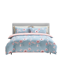 博洋家纺 BEYOND HOME TEXTILE 爱洛花园床品四件套 T6823031201 (200*230cm)