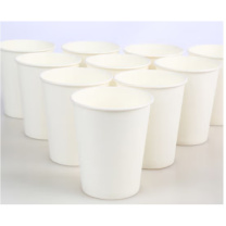Edo 一次性定制纸杯加厚9盎司 250ml 1000只/箱