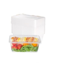 特美居 tmj 一次性饭盒长方形 TMJ-800 1000ML (透明) 20个装