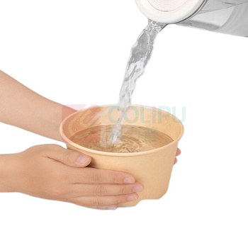 益好 一次性碗 招财熊猫 550ml 100只/箱 小