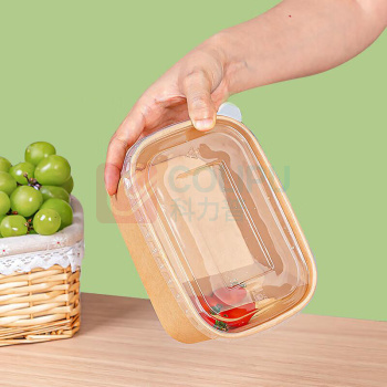 特美居 tmj 饭盒 1000ml 100套