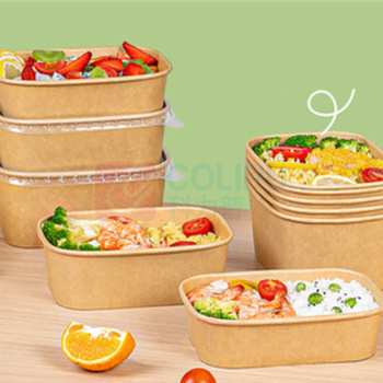 特美居 tmj 饭盒 TMJ-1999 750ml*100套