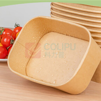 特美居 tmj 饭盒 TMJ-1999 750ml*100套