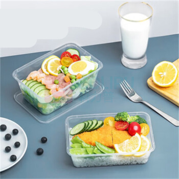 特美居 tmj 餐盒 TMJ-868/TMJ-3009 1000型*300套