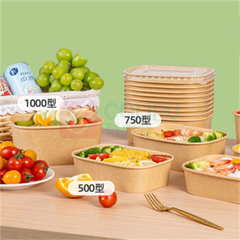 特美居 tmj 一次性饭盒 750型 方形带盖 20套/箱
