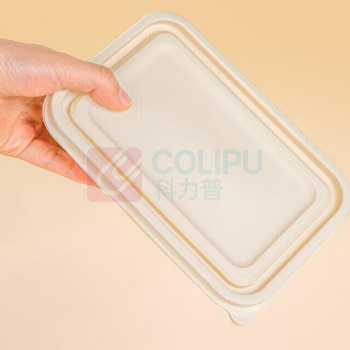 特美居 tmj 一次性饭盒玉米淀粉环保野餐盒 TMJ-311 20套 750ml 带盖